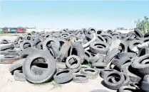  ?? DÍAZ ?? Un millón de neumáticos fuera de servicio recabó el ayuntamien­to de Altamira durante un año/MIGUEL