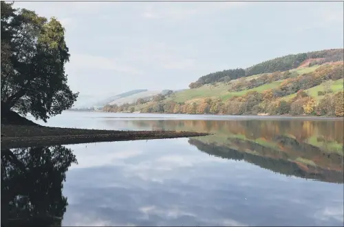  ??  ?? Gouthwaite Reservoir in Nidderdale is recognised as an important site for breeding wildfowl and wintering birds.