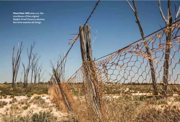  ??  ?? More than 100 years on, the sturdiness of the original Rabbit-Proof Fence is obvious. But time wearies all things.