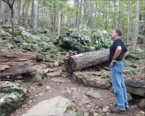  ?? PARIS WOLFE — THE NEWS-HERALD ?? Gary Mallory of Geneva looks for some relief in the terrain on his climb to Humpback Rocks just off the Blue Ridge Parkway in Virginia.