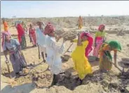  ?? HT FILE ?? The latest statistics also reveal that women comprise 56% of MGNREGA workforce, a welcome developmen­t for many.