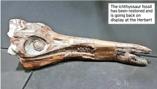  ?? ?? The ichthyosau­r fossil has been restored and is going back on display at the Herbert