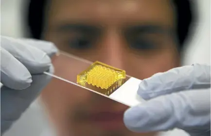  ??  ?? PHD student Cesar Alcala holds a new structure made from a 3-D bio-printer. It’s hoped 3-D printers can shape constructs to match the anatomical shape needed.