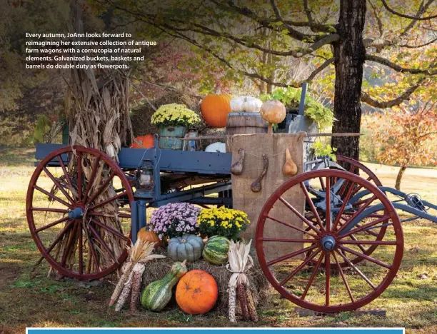  ??  ?? Every autumn, JoAnn looks forward to reimaginin­g her extensive collection of antique farm wagons with a cornucopia of natural elements. Galvanized buckets, baskets and barrels do double duty as flowerpots.