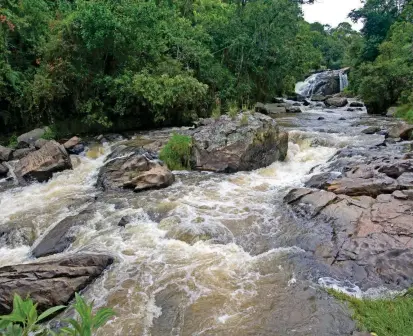  ?? FOTO ?? Proteger las cuencas de agua, desde su nacimiento y en su curso, es clave para garantizar el abastecimi­ento del recurso a futuro, defenderlo de las amenazas.