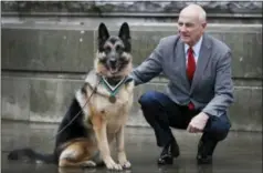  ?? KIRSTY WIGGLESWOR­TH — THE ASSOCIATED PRESS ?? John Wren from New York, who was 4 years old when Chips the family pet dog returned from the war effort, with Military working dog Ayron who received the PDSA Dickin Medal, the animal equivalent of the Victoria Cross, on Chips’ behalf, in London,...