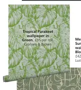  ?? ?? Tropical Parakeet
wallpaper in Green,
£55 per roll, Graham & Brown