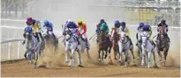  ??  ?? RACING: The 19th horse race for the current season was held in the Wilayat of Barka on Friday.