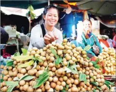  ?? HONG MENEA ?? A vendor at Kandal Market adjusts her display of longans in Phnom Penh in 2014.