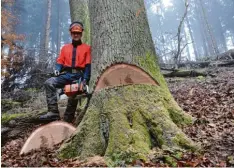  ?? Foto: Matthias Toma ?? Benedikt Thoma neben der 190 Jahre alten Eiche. 4500 Euro brachte der 6,5 Meter lange Stamm bei der Versteiger­ung ein.