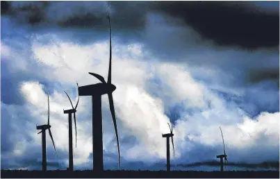  ??  ?? How many birds are killed by strikes with wind turbines?