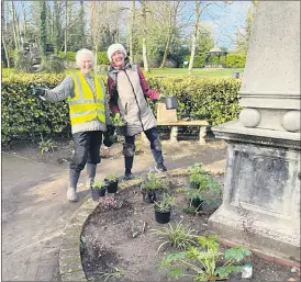  ?? ?? Lismore Tidy Towns members Nora O’Connor and Mary Flynn in jovial mood about to plant extra perennials at the obelisk area of Lismore’s Millennium Park.