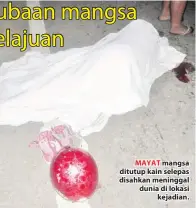  ??  ?? MAYAT mangsa ditutup kain selepas disahkan meninggal dunia di lokasi kejadian.