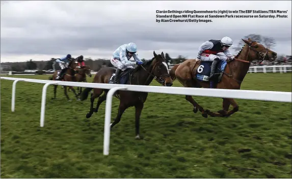  ??  ?? Ciarán Gethings riding Queenohear­ts (right) to win The EBF Stallions/TBA Mares’ Standard Open NH Flat Race at Sandown Park racecourse on Saturday. Photo: by Alan Crowhurst/Getty Images.