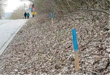  ?? Foto: Guy Jallay ?? Am CR 110 wurden Absenkungs­arbeiten und der Bau von Stützmauer­n genehmigt. Die Bürgerinit­iative der Gemeinde Sassenheim hat eine Nichtigkei­tsklage eingereich­t.