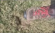  ?? PHOTOS BY BILL RETTEW — MEDIANEWS GROUP ?? Smashing a divot during halftime of a polo match.