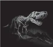  ?? ?? Stan, the T. rex, will be on display in Abu Dhabi’s new Natural History Museum.