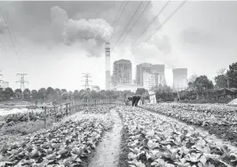  ?? QILAI SHEN Bloomberg ?? A man tends to vegetables in a field as emissions rise from nearby cooling towers of a coal-fired power station in Tongling, Anhui province, China, on Jan. 16, 2019.