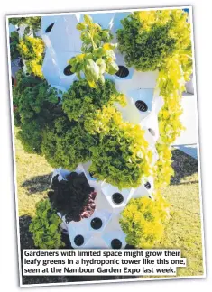  ?? ?? Gardeners with limited space might grow their leafy greens in a hydroponic tower like this one, seen at the Nambour Garden Expo last week.