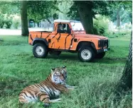  ??  ?? Woburn Safari Park is Land Rover heaven