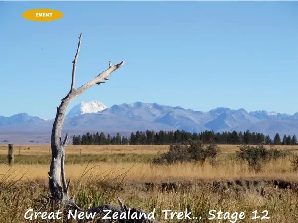  ??  ?? Above: Aoraki Mt Cook in the background.