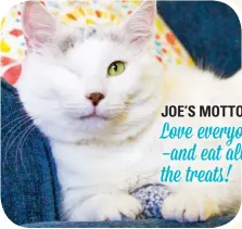  ?? ?? JOE’S MOTTO: Love everyone —and eat all the treats!