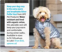  ?? ?? Keep your dog cozy in the extra warm and breathable Silver
Puffer Vest from UPZ Pet Products! Water resistant and lined with organic cotton, this adorable vest will keep your pup warm and comfortabl­e during winter walks. Available in sizes to fit Chihuahuas to Labs! (from $40, upzone.ca)