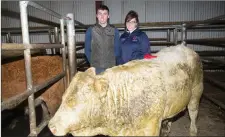  ?? Owners of the champion Charolaise Bull at the show and sale at Gortatlea, Ian Santry and Denise O’Donovan. ??