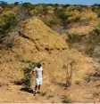  ?? Foto: Roy Funch, dpa ?? Die rund zweieinhal­b Meter hohen Termitenhü­gel sind bis zu 4000 Jahre alt.