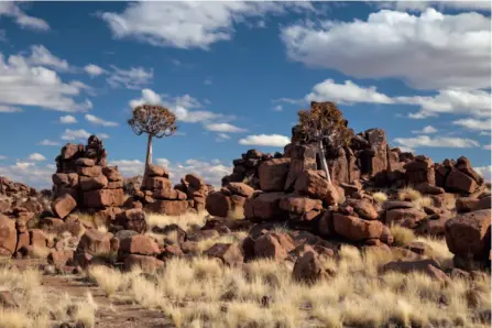  ??  ?? Canon EOS 5D Mk II | 58 mm (24-105 mm) | ISO 100 | f/14 | 1/60 s
Riesen-Spielplatz „Giant’s Playground“findet man in Namibia nahe Keetmansho­op. Die Felsblöcke sind vulkanisch­en Ursprungs und bestehen aus Basalt; ihr markantes heutiges Aussehen erhielten sie durch Blockverwi­tterung,
eine besondere Art der Erosion.