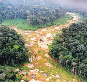  ?? AFP ?? Según el gobierno, la falta de reglas en la Amazonía alienta las actividade­s ilegales. Los ambientali­stas temen una “pesadilla”.