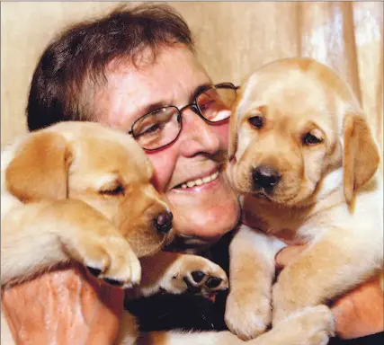  ?? JIM WILKES / TORONTO STAR ?? Registered breeder Marie Babin snuggles Cookie and Yoda, purebred yellow Labrador retriever puppies, at her home in Ajax.