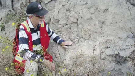  ?? MICHAEL WILSON ?? Michael Wilson examines a 7,600-year-old volcanic ash deposit along the Highwood River in Southern Alberta following flooding in 2013.