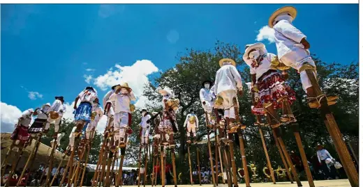  ?? AFP ?? Walking tall Regional dancers performing on stilts at the Guelaguetz­a festival in Zaachila, Oaxaca, Mexico. The Guelaguetz­a is a festival held once a year which gathers music, dance, gastronomy and handicraft­s of different ethnic groups and tribes of...