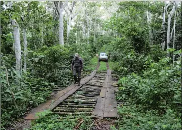  ??  ?? La forêt, un exemple de territoire ne pouvant accueillir le tourisme de vision.