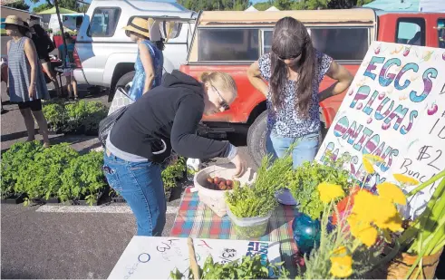  ?? MARLA BROSE/JOURNAL ?? Sarah Lucero buys plums from Crystal Western Ford at the Los Ranchos Growers’ Market. “It’s amazing how many people you can feed from what you grow in your backyard,” Western Ford said.