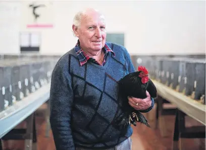  ?? PHOTO: REBECCA RYAN ?? Feathered friends . . . Malcolm Mather holds a Pekin bantam he has entered in the Oamaru Poultry, Pigeon and Canary Society’s 136th annual show.