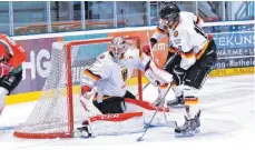  ?? FOTO: PRIVAT ?? Deutschlan­d wurde beim Polizei-Eishockeyc­up in Ravensburg Dritter.