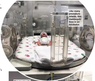  ??  ?? Like many premature infants, this mannequin lives in an incubator.