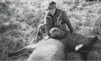  ?? Photos by Max Whittaker / New York Times ?? Chelsea Cassens strokes an elk she killed with a copper bullet at the Zumwalt Prairie Preserve in Imnaha, Ore. Hunters are increasing making a transition away from lead bullets.