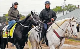  ?? THE ASSOCIATED PRESS ?? Trainer Joe Sharp, right, leads Kentucky Derby entrant Girvin, left, ridden by his wife Rosie Napravnik, a former jockey, back to Barn 33 following a morning gallop at Churchill Downs in Louisville, Ky., on Thursday.