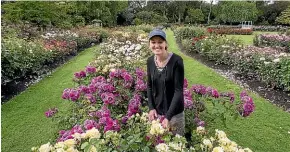  ??  ?? Belinda Phillips tends the internatio­nal rose trial beds during the two years they are grown and judged.