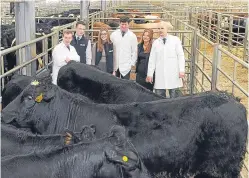  ?? Picture: Whyler Photos. ?? United Auctions young auctioneer­s, from left: Raymond Kennedy, Al Christie, Isla King, Ross Fotheringh­am, Isla Shaw and Murray Rainnie.