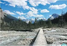  ?? ADAM KEALOHA CAUSEY/THE ASSOCIATED PRESS ?? The Iceline Trail in Yoho National Park 10