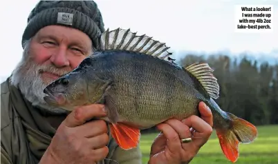  ??  ?? What a looker! I was made up with my 4lb 2oz lake-best perch.