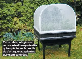  ??  ?? Cette table potagère est recouverte d’un agrotextil­e qui empêche les écureuils de s’attaquer aux plantes qui y sont cultivées.