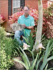  ?? CAROL ROLF/CONTRIBUTI­NG PHOTOGRAPH­ER ?? Doug Harris of Conway is the 2020 Faulkner County Master Gardener of the Year. He is also the group’s 2021 president. Harris and his wife, Debbie, moved to Conway in 2015 and have done all the landscapin­g at their current home. They transplant­ed many of the flowers and plants from their home in Berryville, as well as from relatives’ homes.