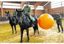  ??  ?? Training: Mit einem Ball werden die Tiere an Berührunge­n gewöhnt