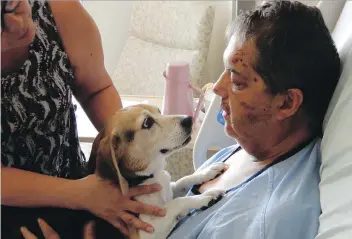  ?? MORGAN MODJESKI ?? Robert Carignan, a 57-year-old Saskatoon man who was pulled from his wheelchair and violently beaten on Sunday, was reunited with his beloved beagle, Molly, at St. Paul’s Hospital on Thursday. The two are usually inseparabl­e, and seeing her wagging tail Thursday brought tears to Carignan’s eyes.