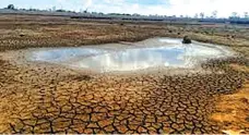  ?? ?? Draughts as a result of climate change have seen water sources drying
